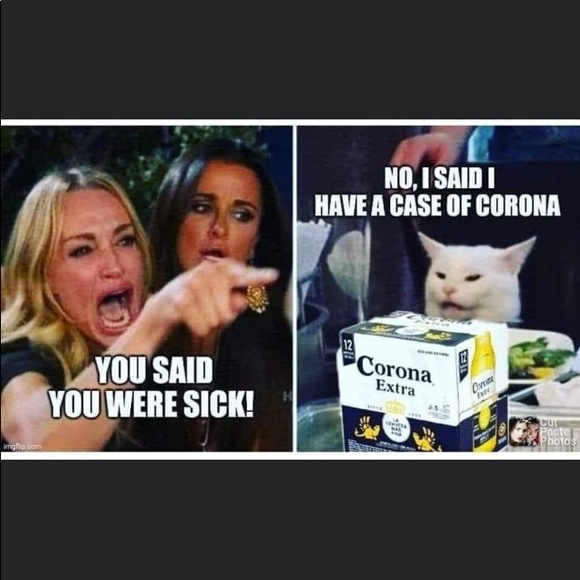 Meet your Posher, Goldie - Picture 7 of 15